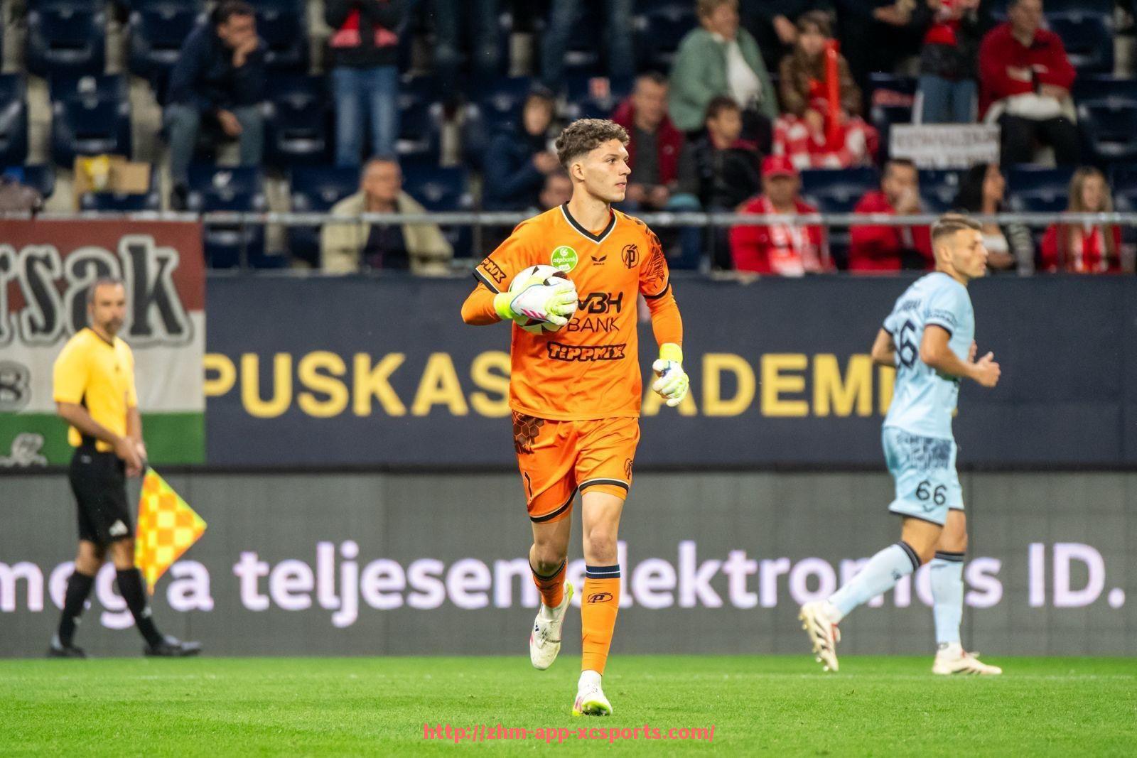 杏彩体育-因缺乏财团注资而停滞发展的德甲球队名单与案例分析