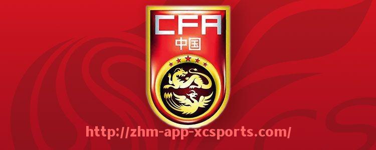 杏彩体育-世俱杯不同解说风格分析：激情、冷静与战术派各自的观众群