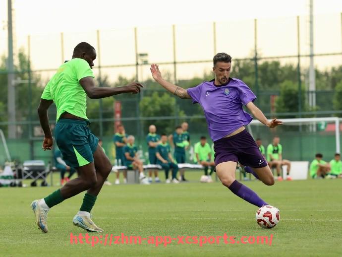 杏彩体育-2018年火箭队完整赛程表详解